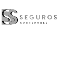 Seguro Automotriz SSSEGUROS